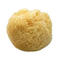 Spugna bagno naturale bagno doccia 15/16 cm codice prod: 11M product photo