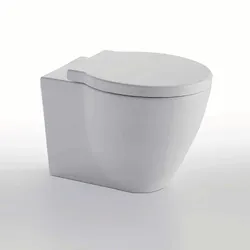 Easy Evo wc a terra scarico a parete bianco lucido codice prod: EASVAE product photo