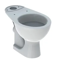 Colibr&igrave; wc a terra per cassetta di risciacquo esterna monoblocco bianco lucido codice prod: 500.859.00.1 product photo