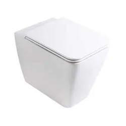 Lynx wc filo parete bianco filo parete senza brida con fissaggi codice prod: DSV16559 product photo