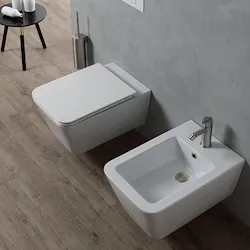 Lynx wc sospeso bianco lucido senza brida con fissaggi codice prod: DSV16561 product photo