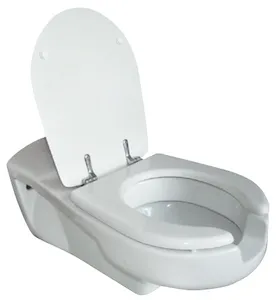 Sanitari e WC per disabili - Vendita online