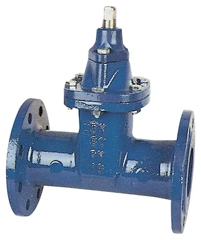 Saracinesca.Cuneo gommato in ghisa sferoidale dn 125 corpo ovale codice prod: DSV05751 product photo Default L2