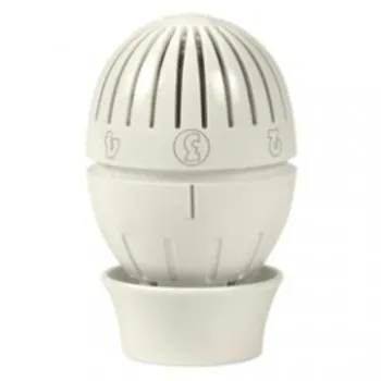 Testa termostatica con sensore a liquido codice prod: R470X001 product photo Default L2