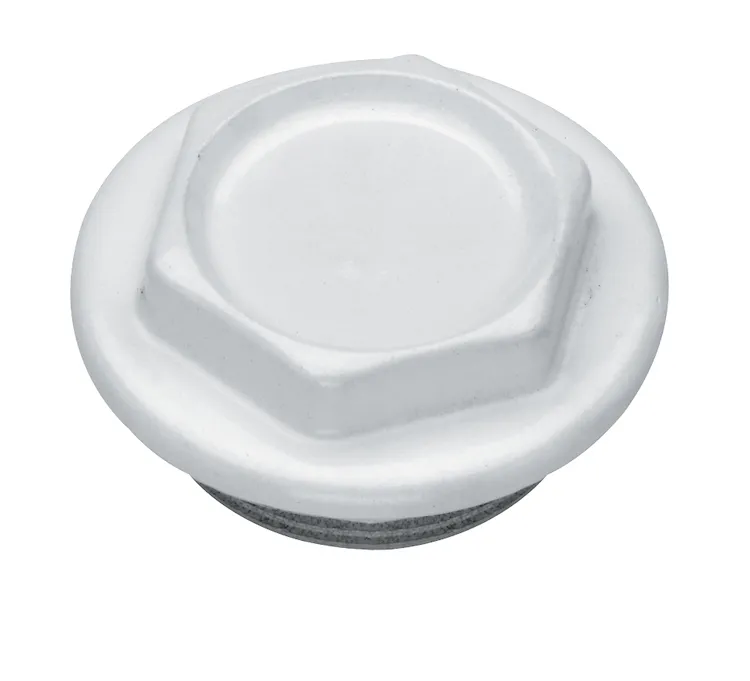 Tappo 1" cieco sx vern.flangia 48 codice prod: DSV05290 product photo