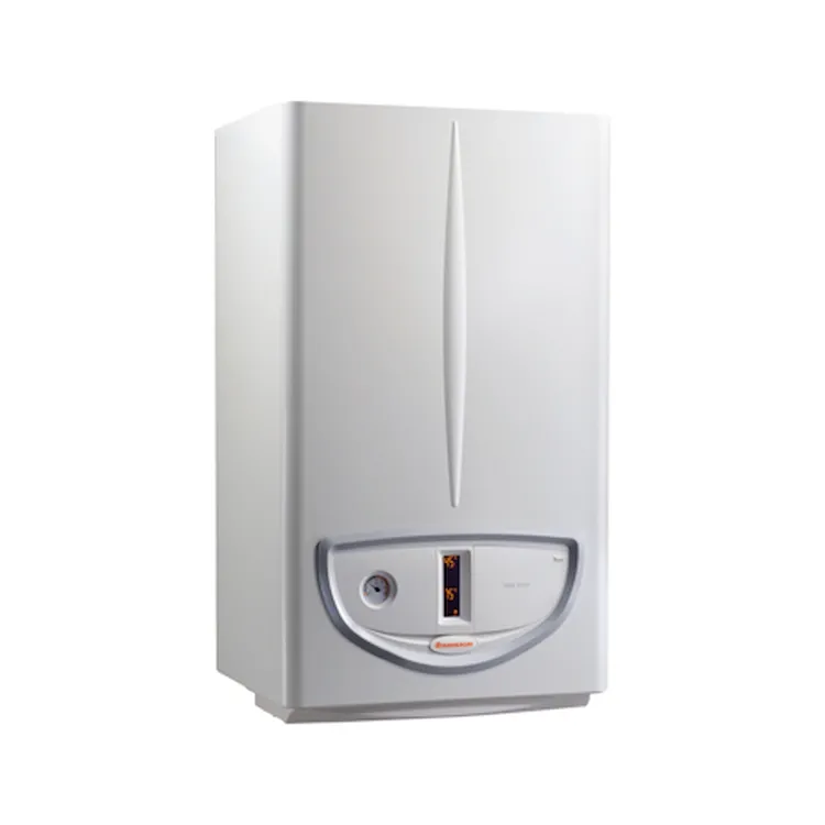 Nike Eco 24 caldaia murale a tiraggio naturale 24 Kw codice prod: 3.028476 product photo
