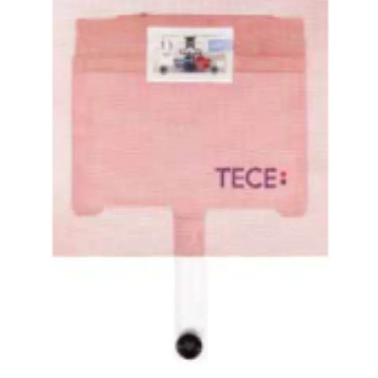 Cassetta Tecebox-Basic per sanitari a terra per pareti in muratura codice prod: 9370007 product photo