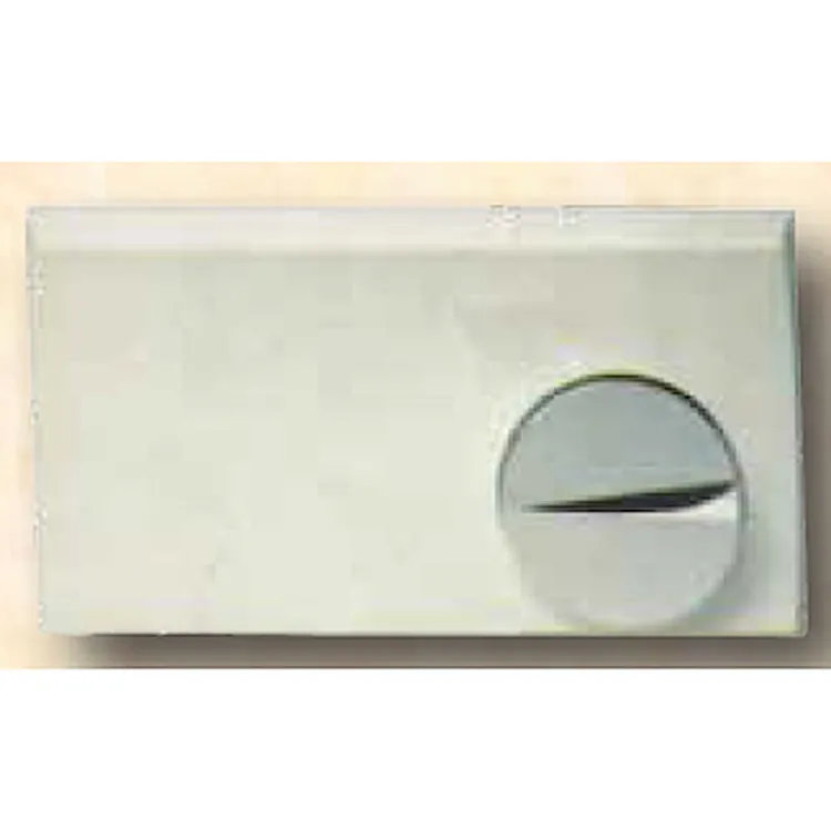 2000 placca comando bianco/cromato codice prod: 300002 product photo