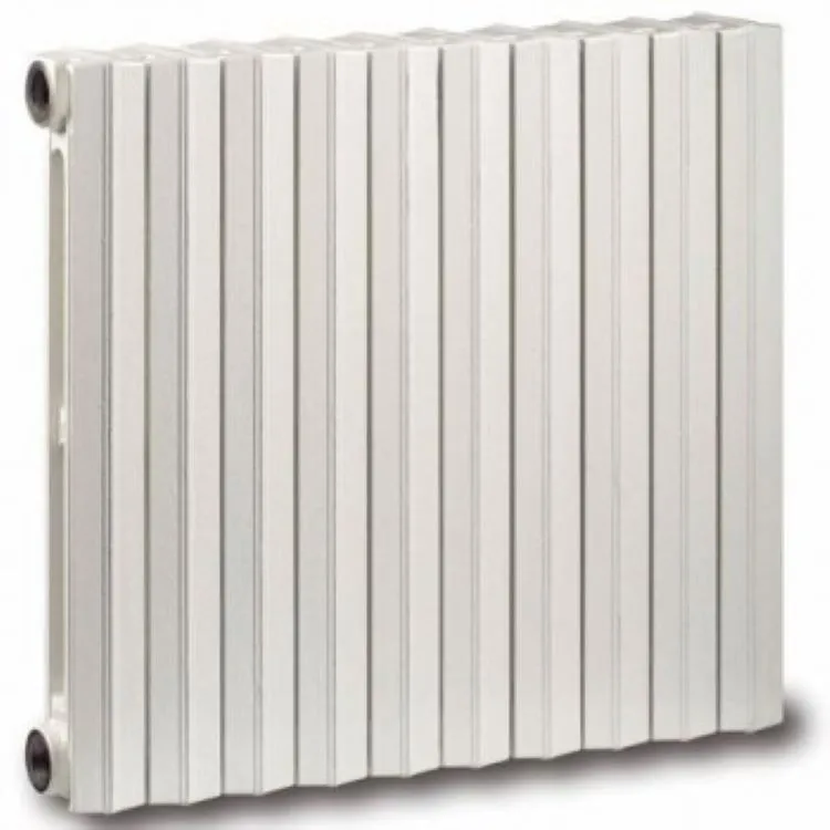 E-100/rch5/880 radiatore a piastra prezzo per 1 elemento singolo codice  prod: GPE10S990000050880