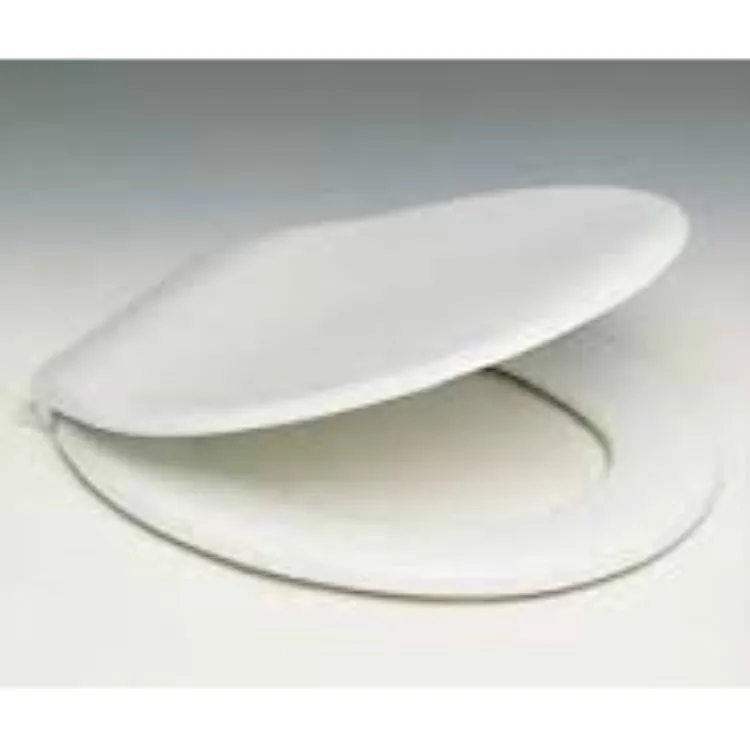 Diagonal sedile wc con cerniera termoindurente bianco codice prod: BSFORAIS33 product photo