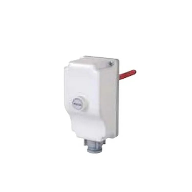 Termostato limitatore ad immers.100°c codice prod: DSV16499 product photo