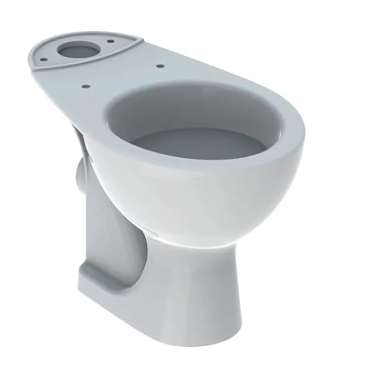 Colibr&igrave; wc a terra per cassetta di risciacquo esterna monoblocco bianco lucido codice prod: 500.858.00.1 product photo